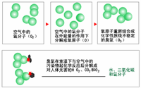 臭氧消毒器的結構是怎樣的？